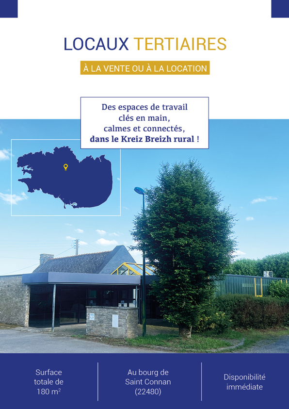 Brochure immobilière pour locaux professionnels